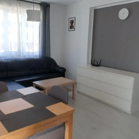 Apartment O Pulse
